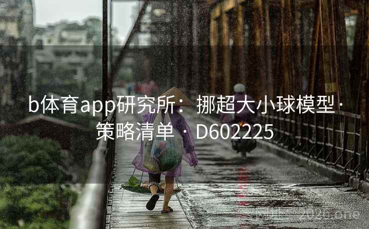 b体育app研究所：挪超大小球模型·策略清单 · D602225  第2张