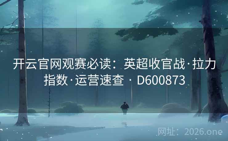 开云官网观赛必读：英超收官战·拉力指数·运营速查 · D600873  第2张