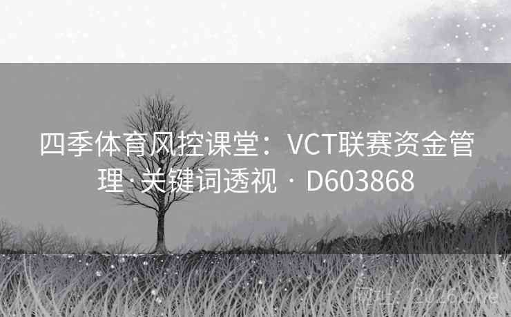 四季体育风控课堂:VCT联赛资金管理·关键词透视 · D603868 第2张 四季体育风控课堂:VCT联赛资金管理·关键词透视 · D603868 第2张