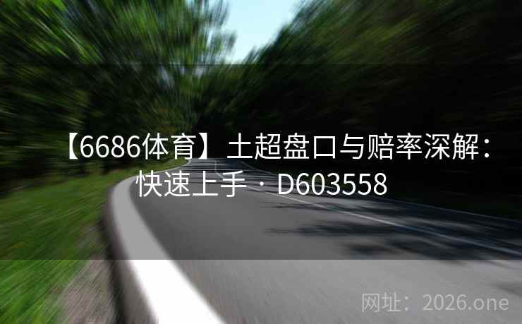 【6686体育】土超盘口与赔率深解：快速上手 · D603558