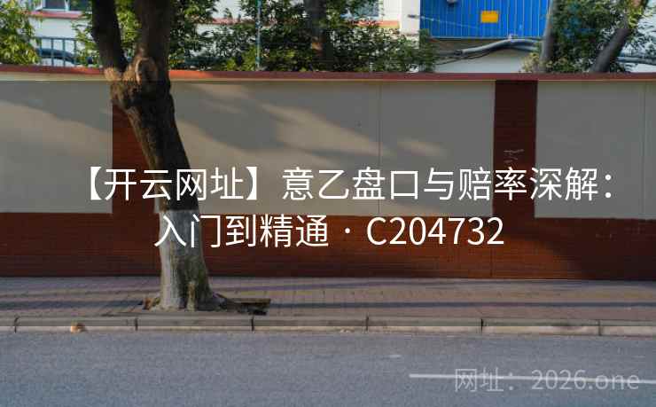 【开云网址】意乙盘口与赔率深解：入门到精通 · C204732  第2张