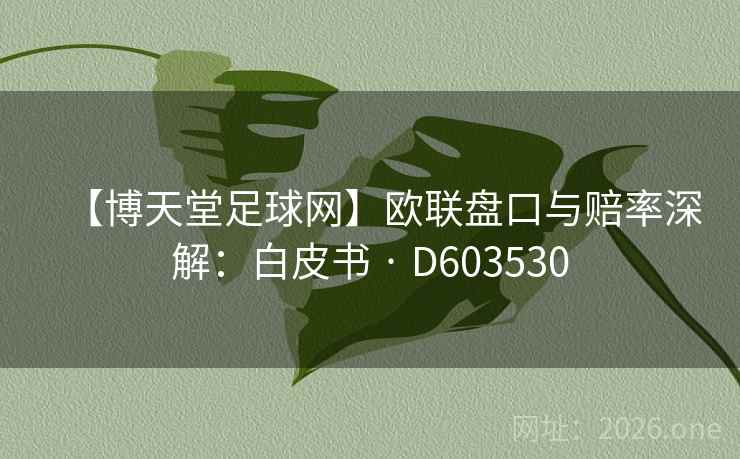 【博天堂足球网】欧联盘口与赔率深解：白皮书 · D603530  第2张